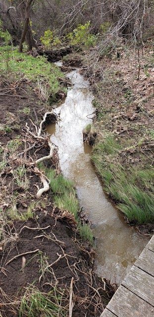 Los Jilgueros Preserve